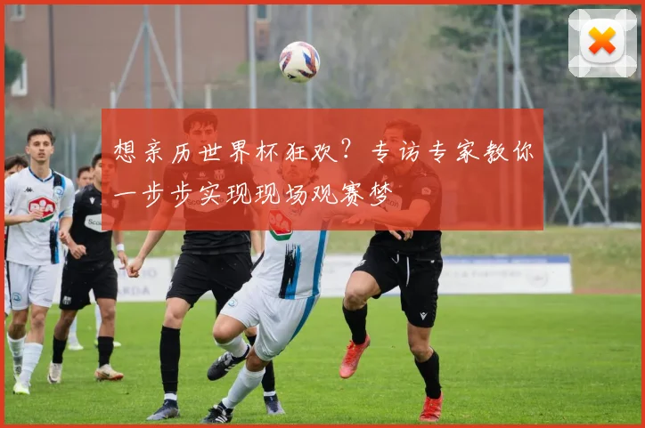 想亲历世界杯狂欢？专访专家教你一步步实现现场观赛梦