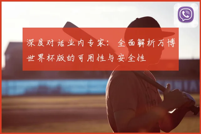 深度对话业内专家：全面解析万博世界杯版的可用性与安全性