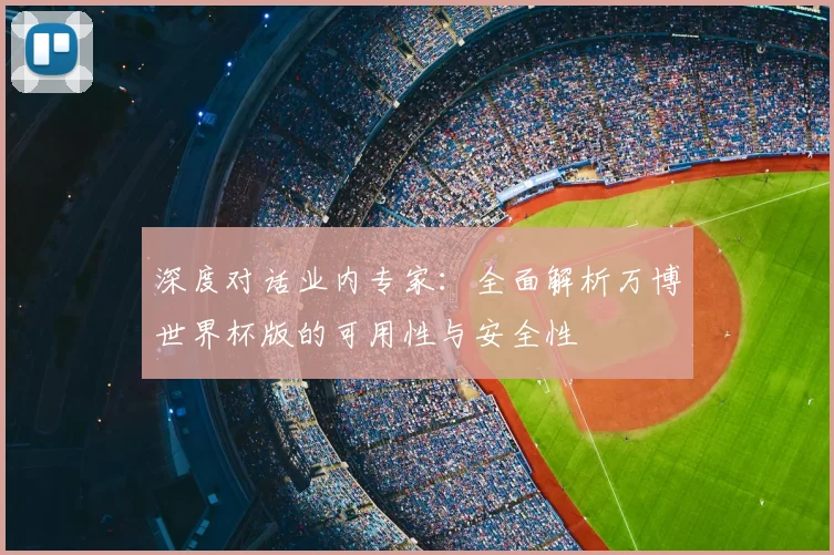 深度对话业内专家：全面解析万博世界杯版的可用性与安全性