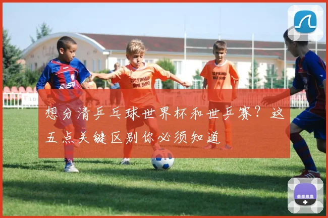 想分清乒乓球世界杯和世乒赛？这五点关键区别你必须知道