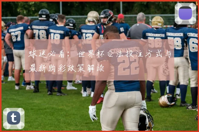 球迷必看：世界杯合法投注方式与最新购彩政策解读