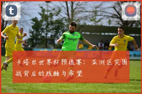卡塔尔世界杯预选赛：亚洲区突围战背后的残酷与希望