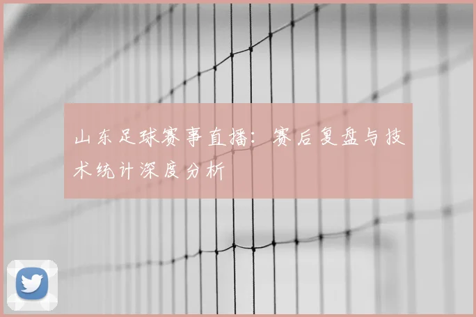 山东足球赛事直播：赛后复盘与技术统计深度分析