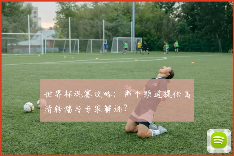 世界杯观赛攻略：那个频道提供高清转播与专家解说？