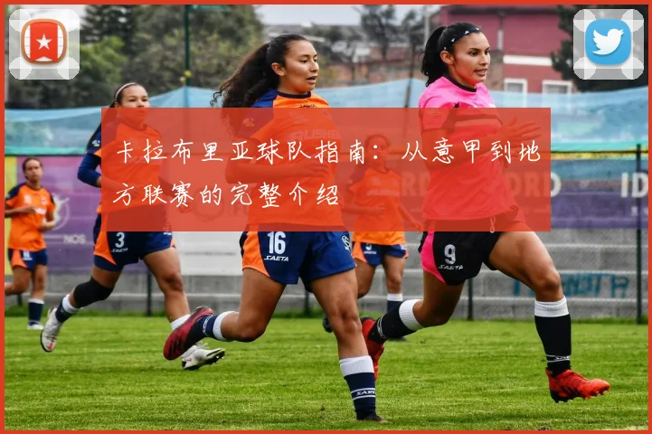 卡拉布里亚球队指南：从意甲到地方联赛的完整介绍