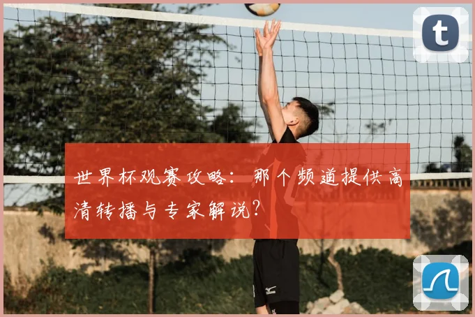 世界杯观赛攻略：那个频道提供高清转播与专家解说？