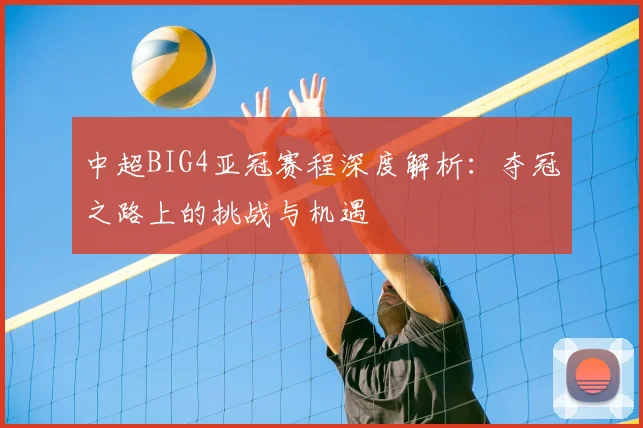 中超BIG4亚冠赛程深度解析：夺冠之路上的挑战与机遇