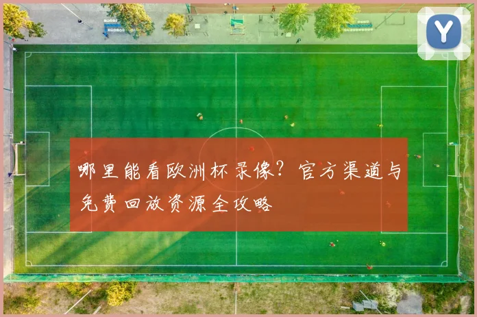 哪里能看欧洲杯录像？官方渠道与免费回放资源全攻略