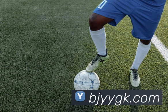 九游体育app官方入口服务体系